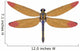 Large Meganeura Dragonfly from Wall Decal