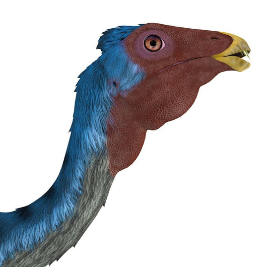 Caudipteryx Portrait Wall Decal
