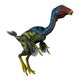 Caudipteryx Flightless Bird White Wall Decal Design 2
