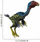 Caudipteryx Flightless Bird White Wall Decal Design 2