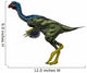 Caudipteryx Flightless Bird White Wall Decal Design 1