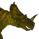 Centrosaurus Dinosaur Head Wall Decal
