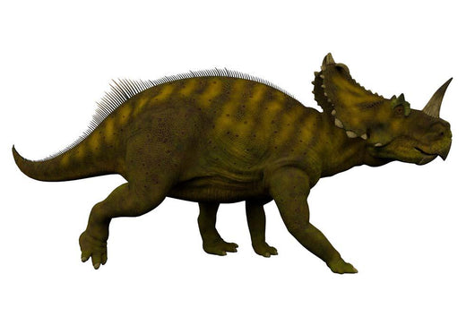 Side Centrosaurus Dinosaur Wall Decal
