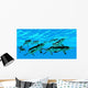 Cymbospondylus Ichthyosaurs Swim Together Wall Decal