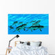 Cymbospondylus Ichthyosaurs Swim Together Wall Decal