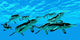 Cymbospondylus Ichthyosaurs Swim Together Wall Decal