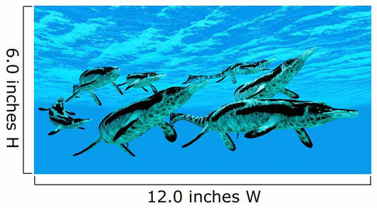 Cymbospondylus Ichthyosaurs Swim Together Wall Decal