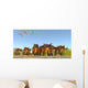 Quetzalcoatlus Reptiles Fly over Wall Decal