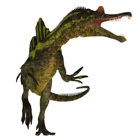 Vicious Ichthyovenator Dinosaur Wall Decal