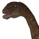 Malawisaurus Dinosaur Head Wall Decal