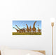 Two Dracorex Dinosaurs Walk Wall Decal