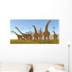 Two Dracorex Dinosaurs Walk Wall Decal