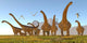 Two Dracorex Dinosaurs Walk Wall Decal
