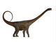 Side Profile Malawisaurus Dinosaur Wall Decal