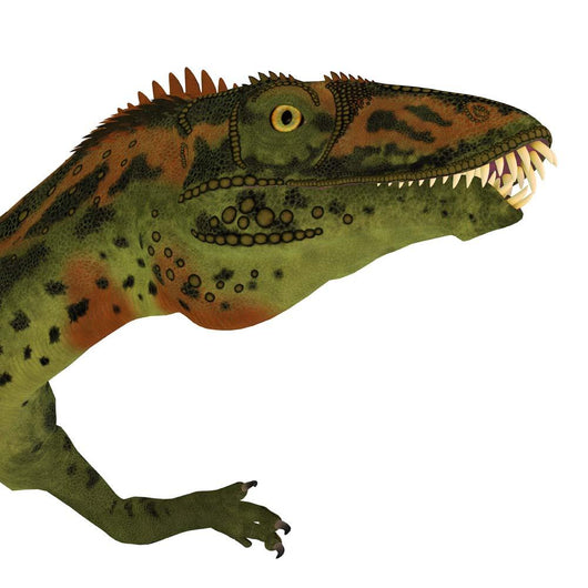 Masiakasaurus Dinosaur Head Wall Decal