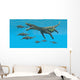 Large Nothosaurus Reptile Preys Wall Decal