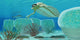 Trilobites Try to Hide Wall Decal