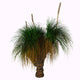 Xanthorrhoea Australis Plant Native Wall Decal