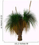 Xanthorrhoea Australis Plant Native Wall Decal