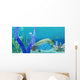Predator Opabinia Uses Its Wall Decal