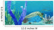 Predator Opabinia Uses Its Wall Decal