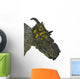 Pachyrhinosaurus Dinosaur Head Wall Decal