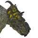 Pachyrhinosaurus Dinosaur Head Wall Decal