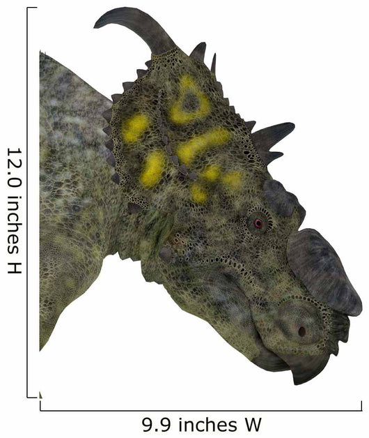 Pachyrhinosaurus Dinosaur Head Wall Decal