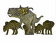 Pachyrhinosaurus Dinosaur Family Wall Decal