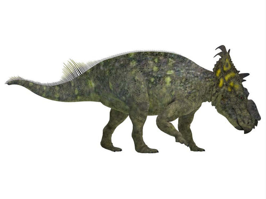 Pachyrhinosaurus Dinosaur Side Wall Decal