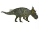 Pachyrhinosaurus Dinosaur Side Wall Decal