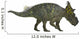 Pachyrhinosaurus Dinosaur Side Wall Decal
