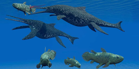 Shonisaurus Ichthyosaur Stabs Coelacanth Wall Decal