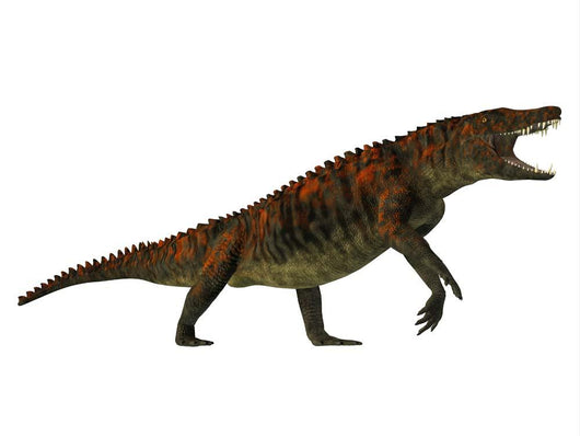 Uberabasuchus Side Profile Wall Decal