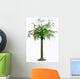 Alethopteris Zeilleri Tree White Wall Decal