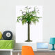 Alethopteris Zeilleri Tree White Wall Decal