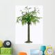 Alethopteris Zeilleri Tree White Wall Decal