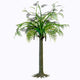 Alethopteris Zeilleri Tree White Wall Decal