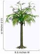 Alethopteris Zeilleri Tree White Wall Decal