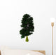 Nothofagus Antarctica Tree White Wall Decal