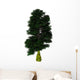 Nothofagus Antarctica Tree White Wall Decal