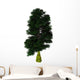Nothofagus Antarctica Tree White Wall Decal