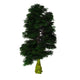 Nothofagus Antarctica Tree White Wall Decal