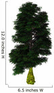 Nothofagus Antarctica Tree White Wall Decal