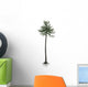 Araucaria Conifer Tree White Wall Decal