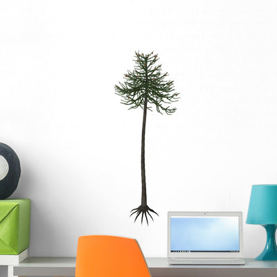 Araucaria Conifer Tree White Wall Decal shown on a wall