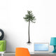 Araucaria Conifer Tree White Wall Decal