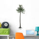 Araucaria Conifer Tree White Wall Decal