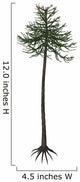 Araucaria Conifer Tree White Wall Decal