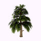 Archaeopteris Tree White Wall Decal